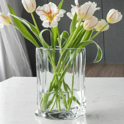 Стеклянные нерегулярные декоративные вазы для цветов и растений Контейнеры Ci22603
